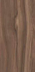 Asian Walnut Dark
